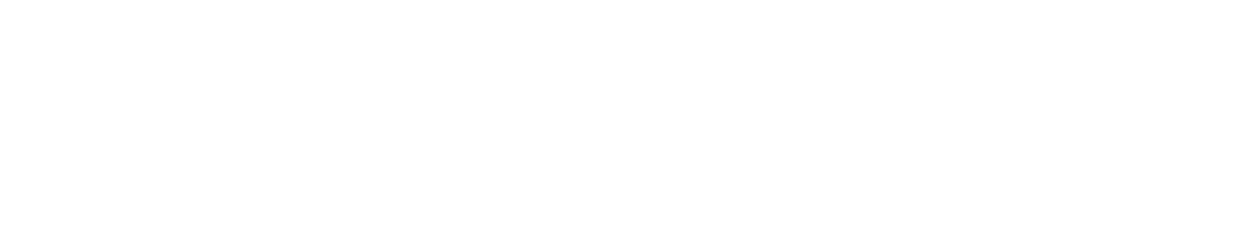 Custodia Mundus — Corporate Digital Experience